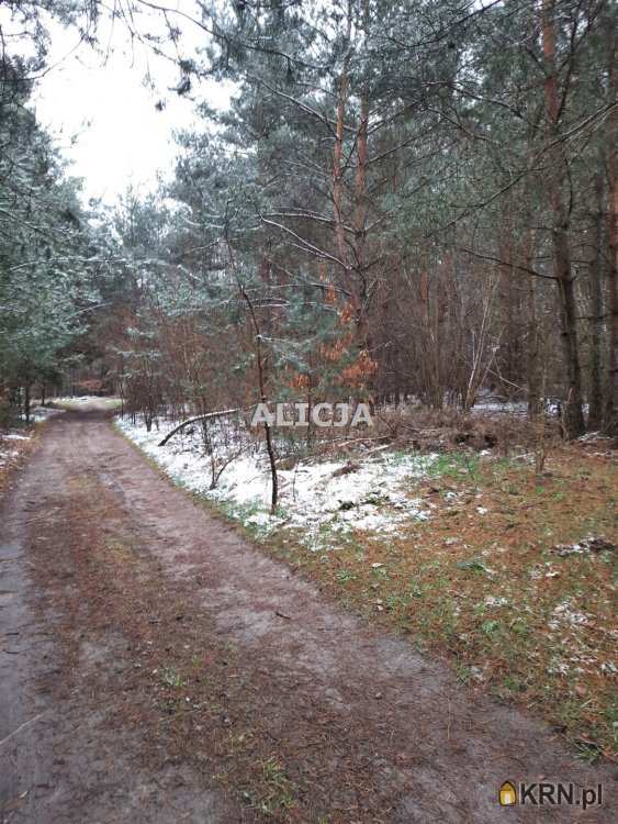 Kuklówka Radziejowicka, ul. , , Działki  na sprzedaż