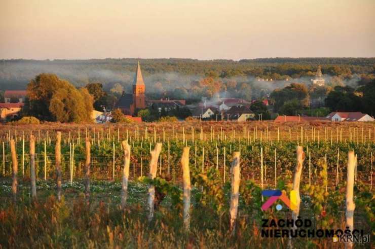 , Przytok, ul. , Inne  na sprzedaż