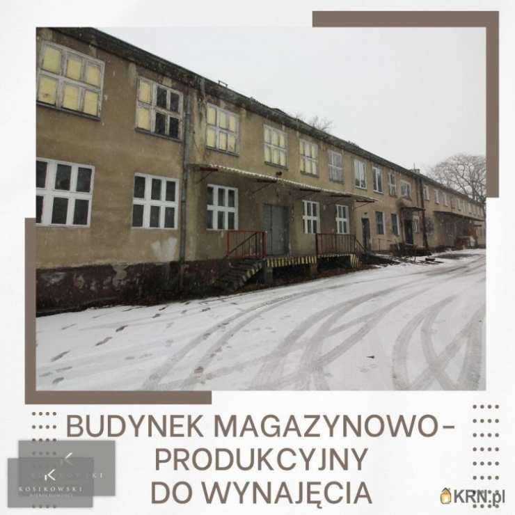 Lokal użytkowy  do wynajęcia, Namysłów, ul. , 