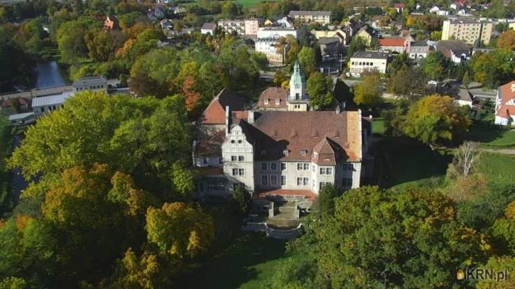 Płoty, ul. , Lokal użytkowy  na sprzedaż, 