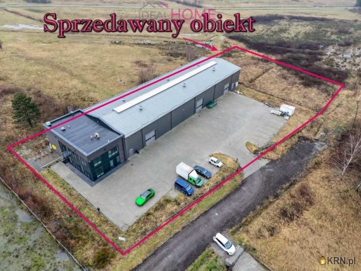 Lokal użytkowy  do wynajęcia, , Kolbuszowa, ul. 