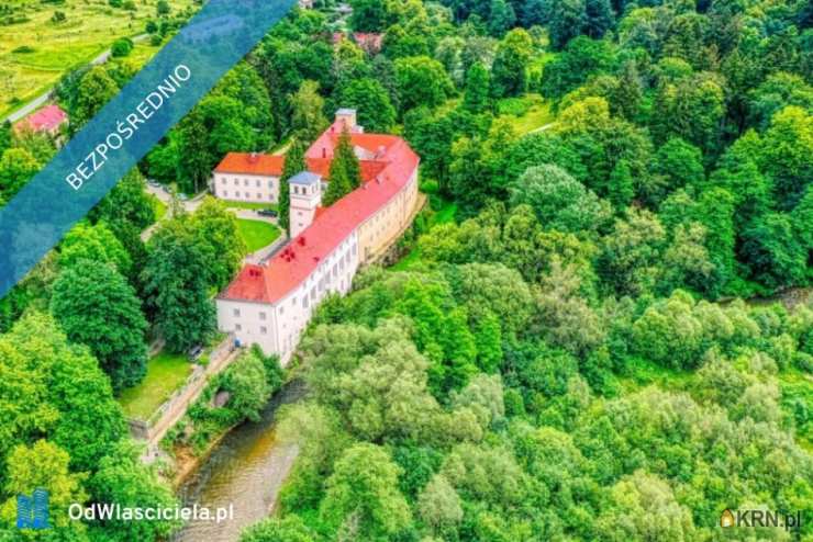 Lokal użytkowy  na sprzedaż, Trzebieszowice, ul. , 