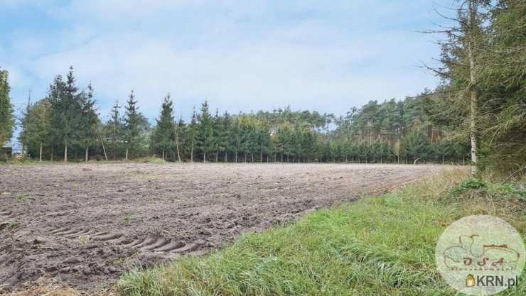 OSA Nieruchomości Sławomira Burdzy, Lokal użytkowy  na sprzedaż, Czmoniec, ul. 