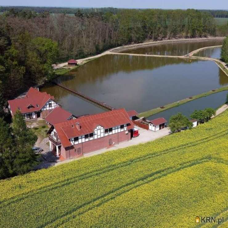 Lokal użytkowy  do wynajęcia, , Gorzyń, ul. 