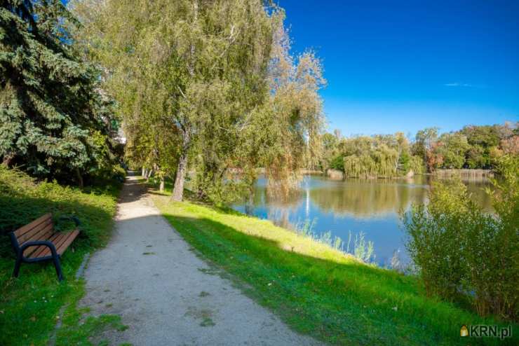 Wrocław, Krzyki/Borek, ul. Racławicka, 5 pokojowe, Lokal użytkowy  do wynajęcia