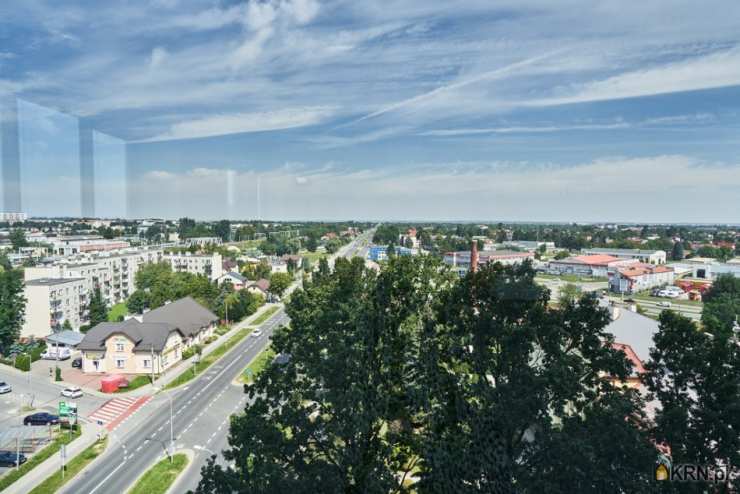 Rzeszów, Staromieście, ul. , , Lokal użytkowy  do wynajęcia