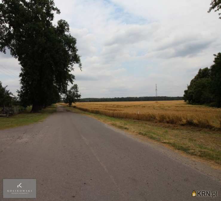 , Lokal użytkowy  na sprzedaż, Biestrzykowice, ul. Ludowa