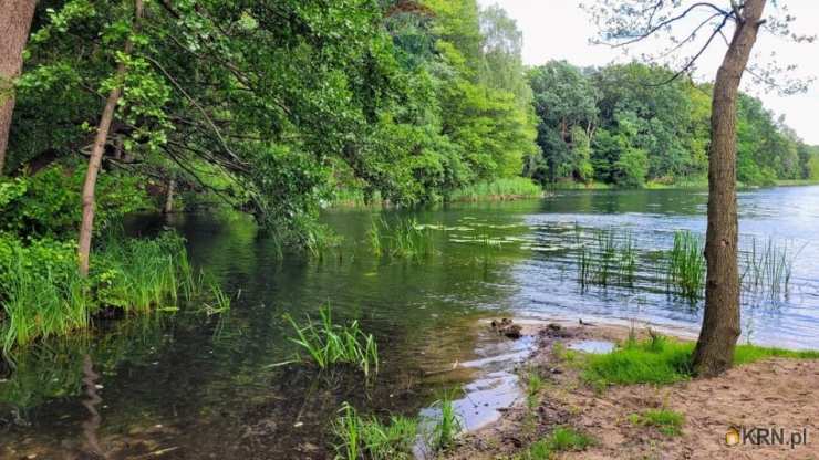 Danków, ul. , , Lokal użytkowy  na sprzedaż