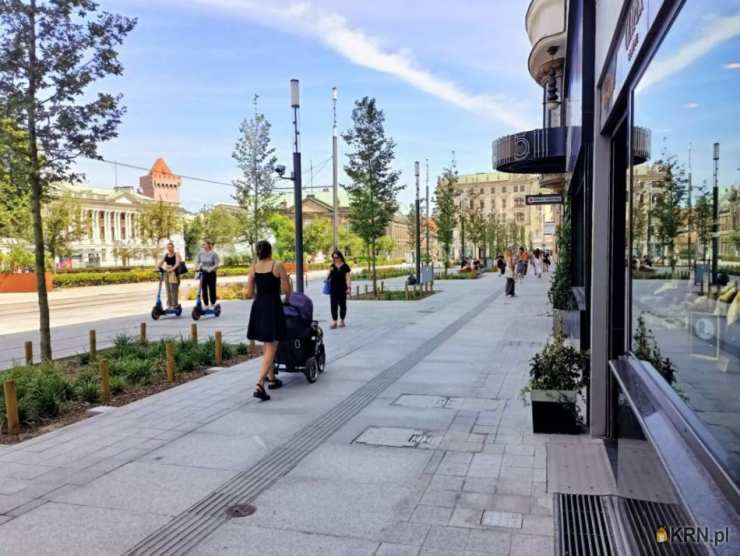 Poznań, Stare Miasto, ul. Wolności, Lokal użytkowy  na sprzedaż, 