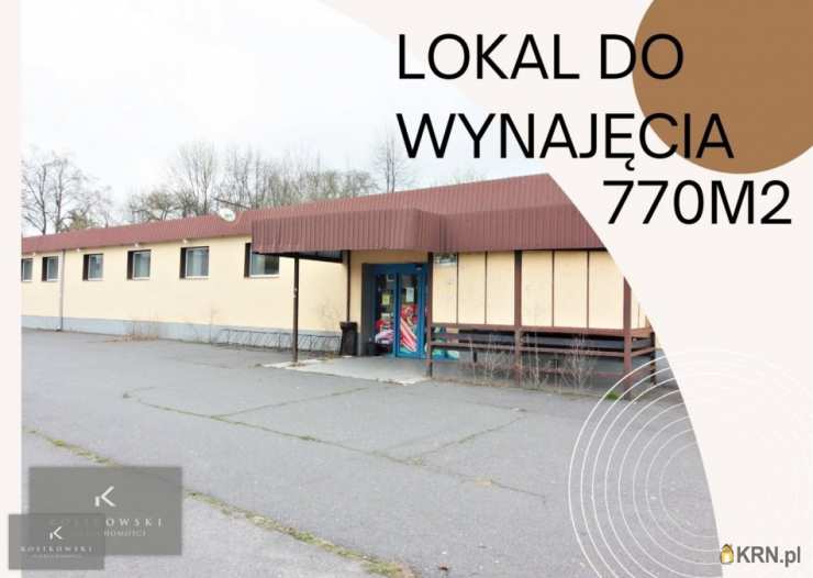 Lokal użytkowy  do wynajęcia, Pokój, ul. 1 Maja, 