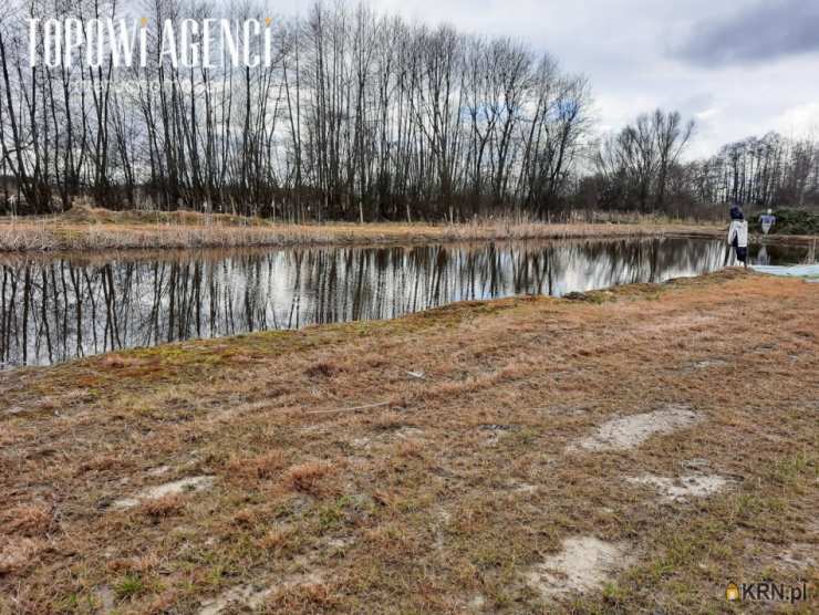 , Miedzechów, ul. , Lokal użytkowy  na sprzedaż