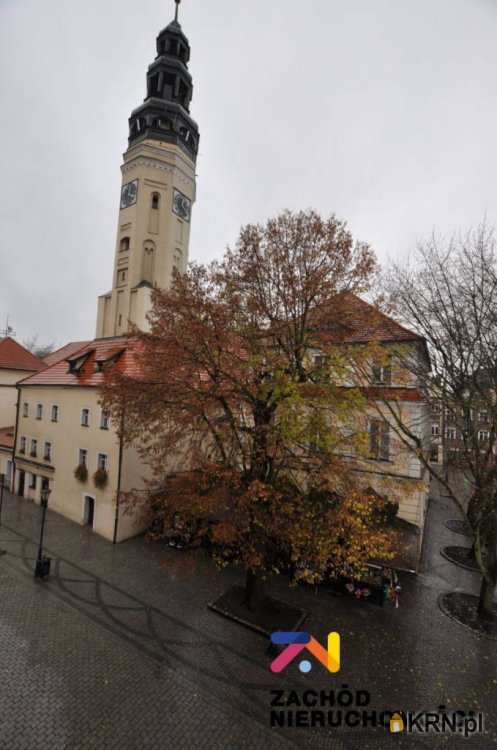 Zielona Góra, ul. , Lokal użytkowy  na sprzedaż, 