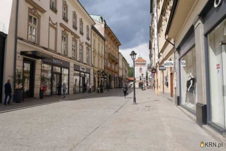 Lokal użytkowy  do wynajęcia, Kraków, Stare Miasto, ul. Floriańska, 