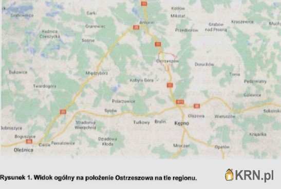 Ostrzeszów, ul. , Lokal użytkowy  na sprzedaż, 