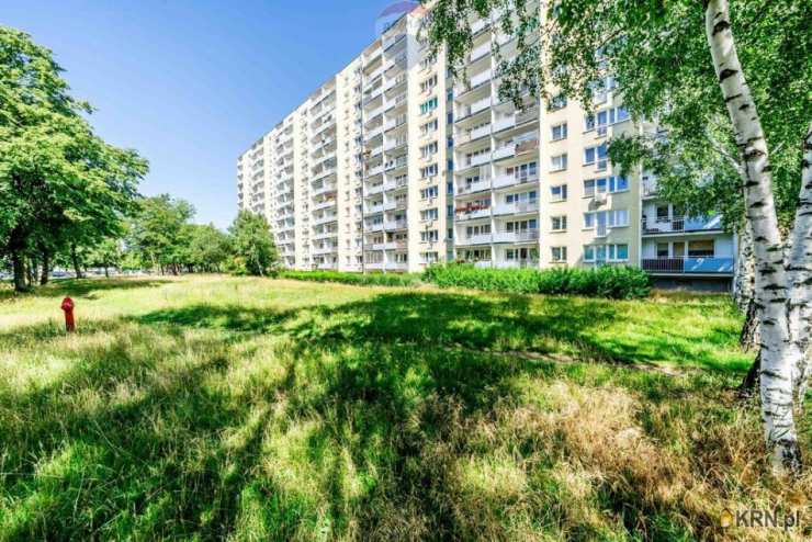 Poznań, Stare Miasto/Piątkowo, ul. , Mieszkanie  do wynajęcia, 1 pokojowe